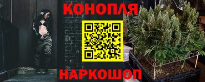 мет Камышлов