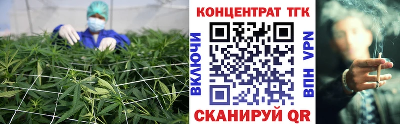 Дистиллят ТГК Wax Курчатов