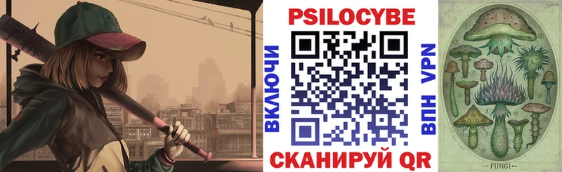 что такое   Курчатов  сайты даркнета какой сайт  Псилоцибиновые грибы Psilocybe 