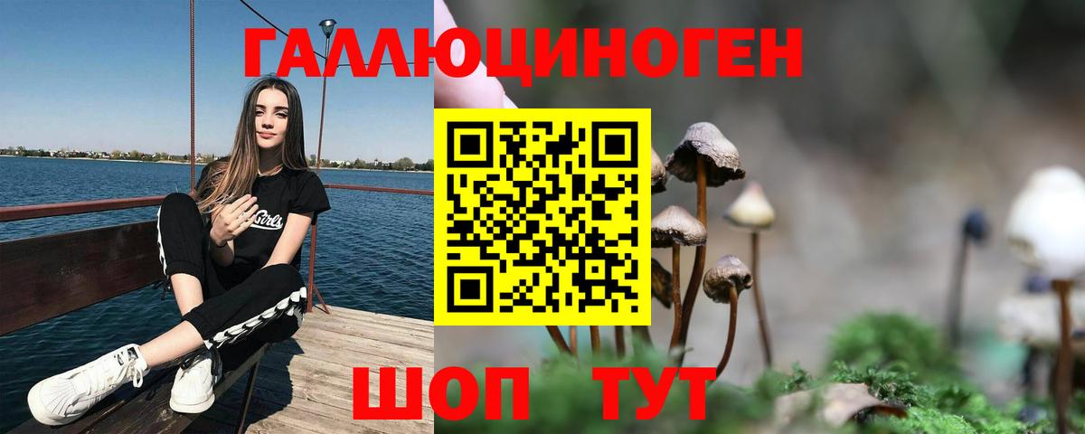 Галлюциногенные грибы мицелий Курчатов